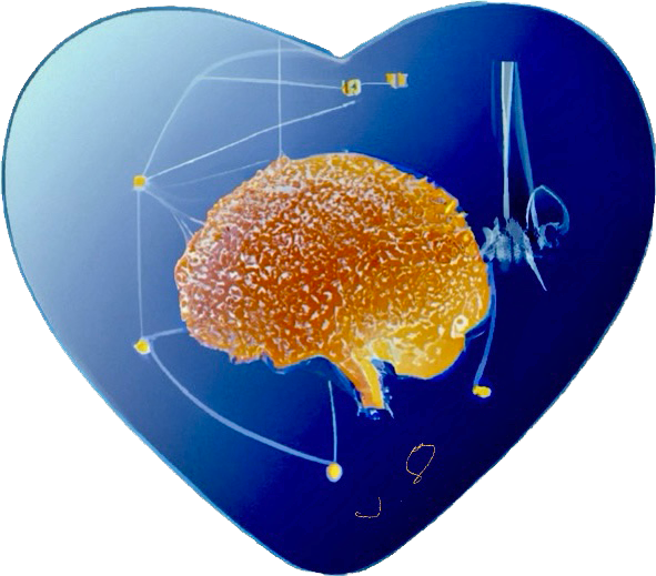 herzblau_hirn.png